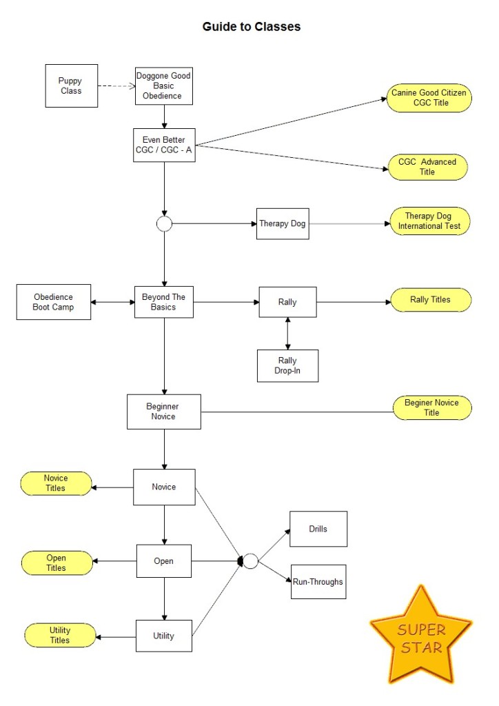 Obedience Classes Flow Chart - Obedience Training Club of Palm Beach County