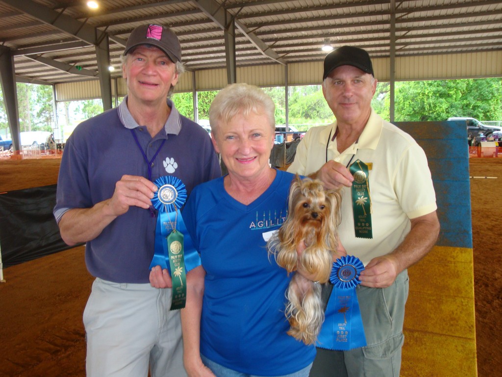 obedience training club palm beach county