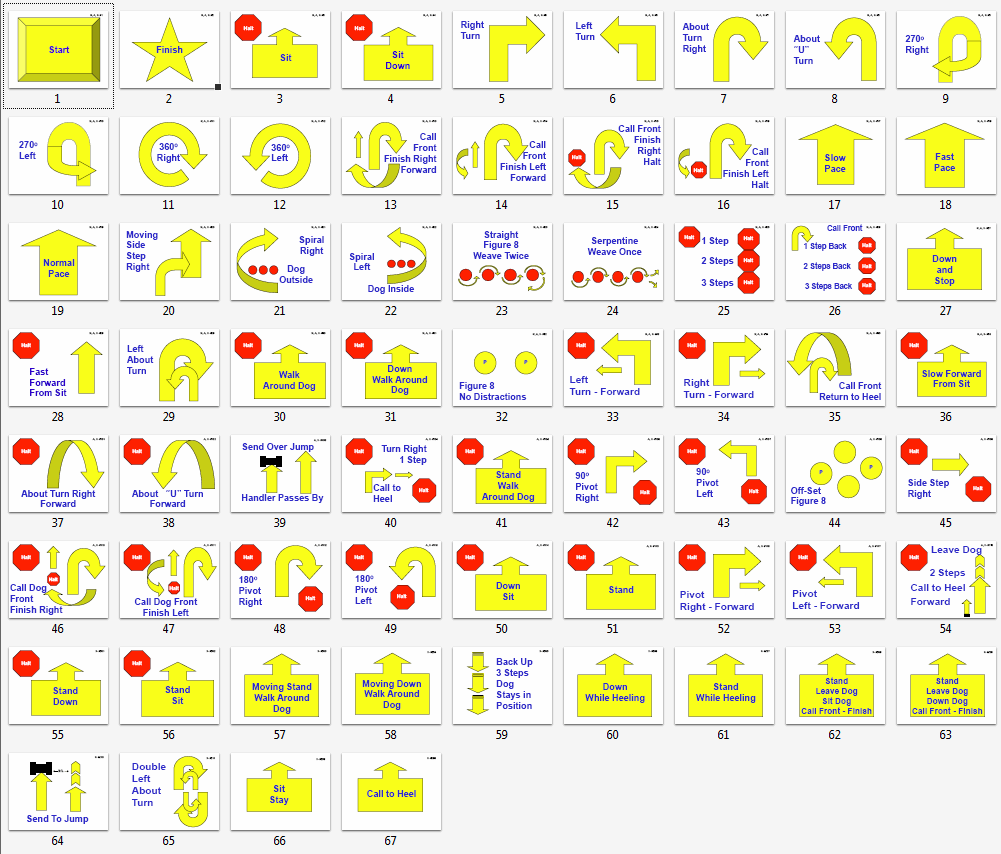 Akc 2025 obedience levels